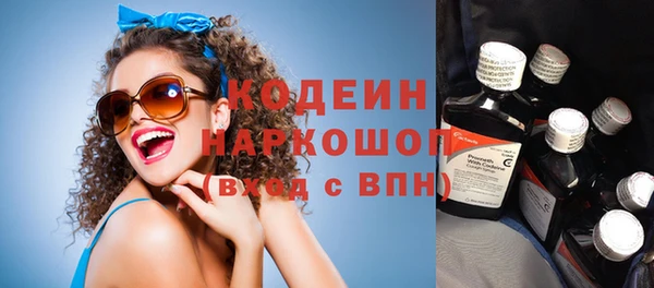 меф Ельня
