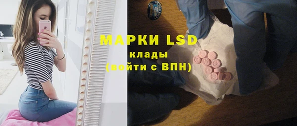 меф Ельня