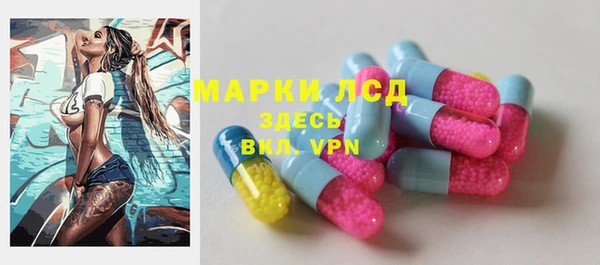 меф Ельня