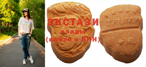 меф Ельня
