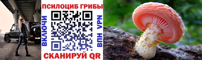 Купить закладки  Ивдель  Галлюциногенные грибы Cubensis 